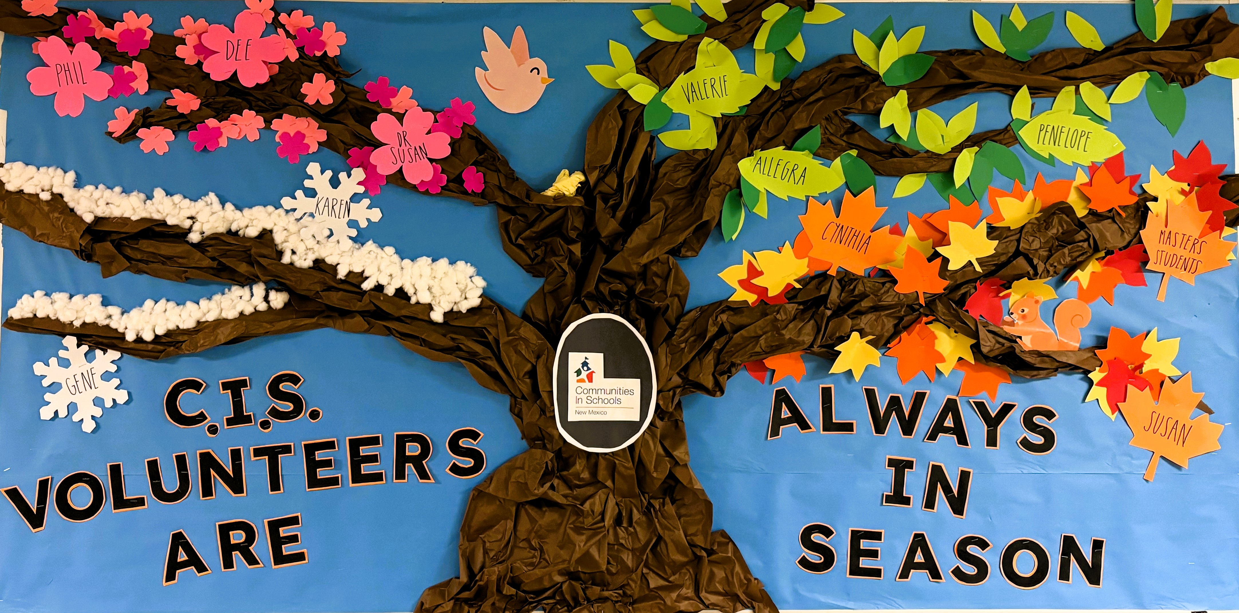 Volunteer Appreciation at CIS!